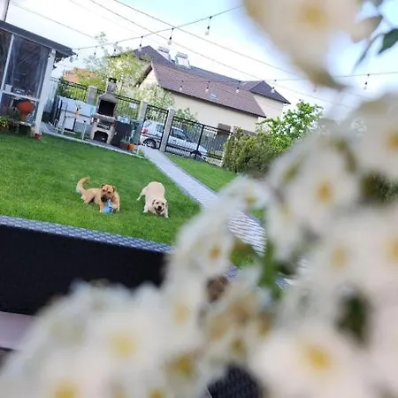 White House * Costinești